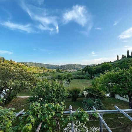 Luna Di Rose Apartment Portoroz Exterior photo